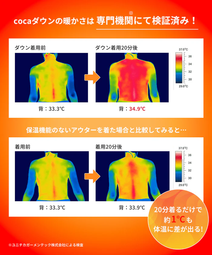 セール★4990円→1990円 デタッチャブルインナーダウン レディース メール便不可 - Image 4