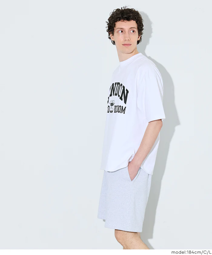 ヘビーウェイトアソートTシャツ メンズ メール便不可 - Image 3