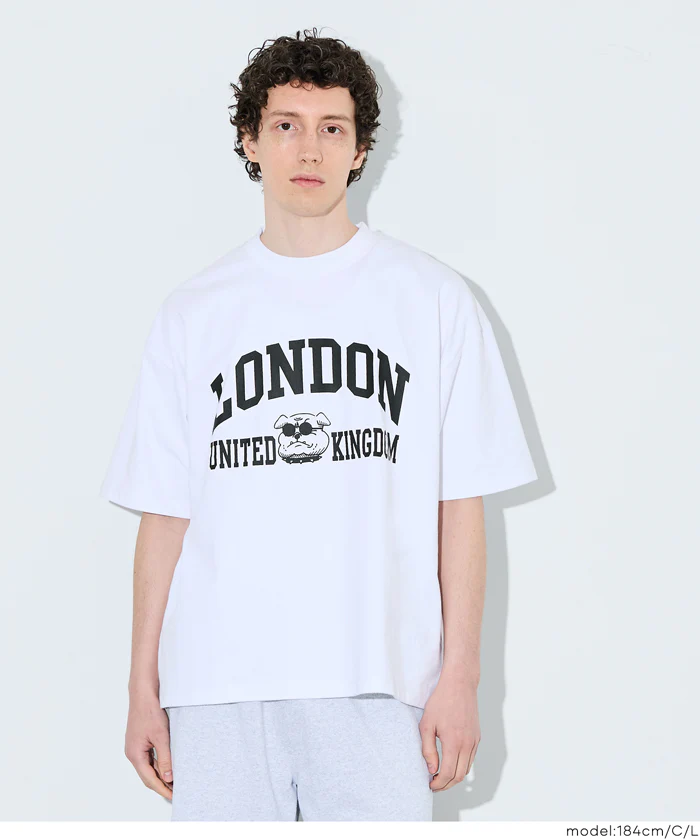 ヘビーウェイトアソートTシャツ メンズ メール便不可 - Image 4