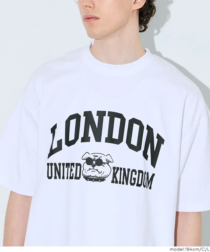 ヘビーウェイトアソートTシャツ メンズ メール便不可 - Image 5