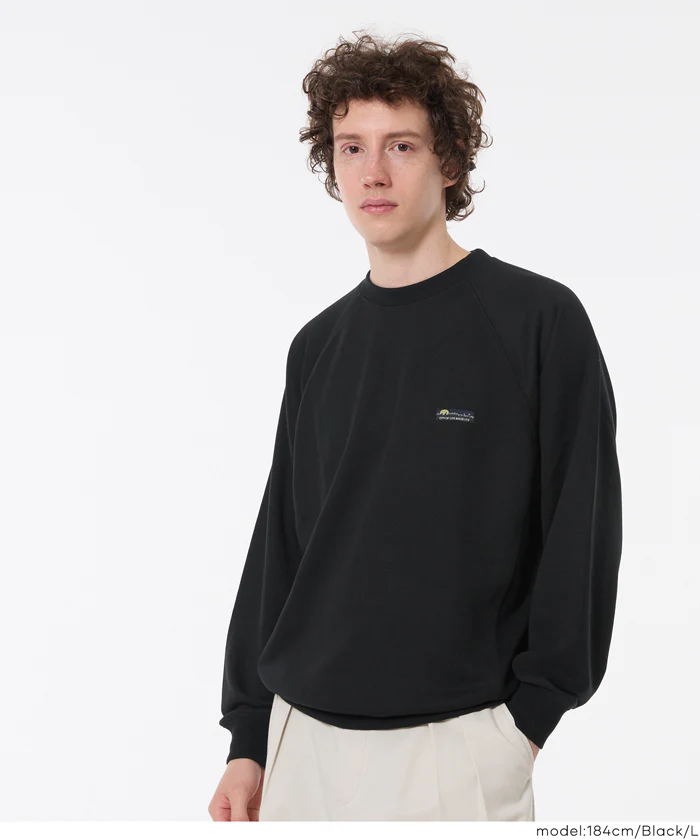 EAZY TEX ポリエステル裏毛ラグランピスネームトレーナー メンズ レディース メール便不可 - Image 6